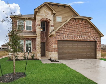 16384 Snowy Egret Lane, Conroe