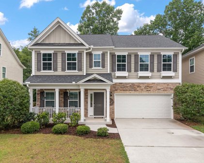118 Elliott Creek Lane, Summerville