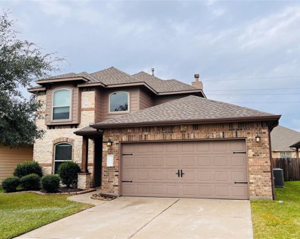 25435 Dappled Filly Drive, Tomball