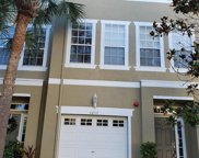 3053 Pointeview Drive, Tampa image