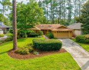 11 Fox Den Court, Hilton Head Island image