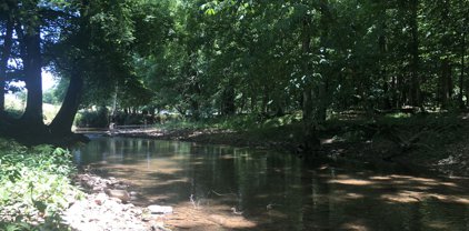 1123 Maxwell Branch Rd, Cottontown