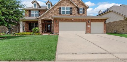 22742 Newcourt Place Street, Tomball