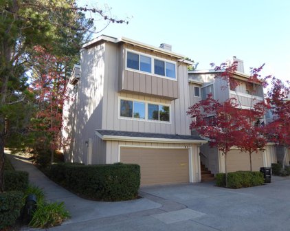 29 Tollridge CT, San Mateo