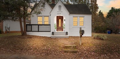 509 Green Avenue, Greenville