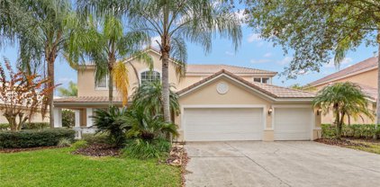 9210 Meadow Lane Court, Tampa
