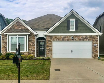 527 Hawk Cv, Smyrna