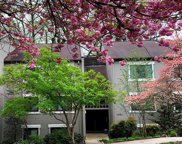 11741 Ledura Ct Unit #105, Reston image