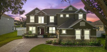6716 Point Hancock Drive, Winter Garden