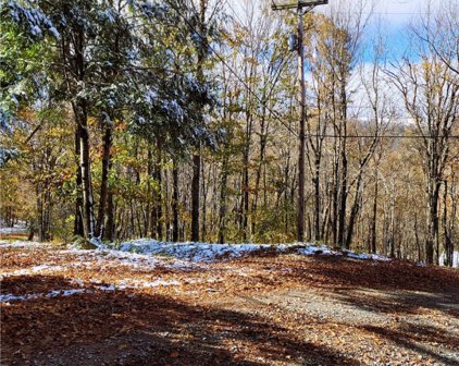 1026 Charter Hills Rd plus Tract 2, Beech Mountain