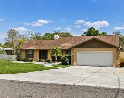 1429 Booth Drive, Valrico