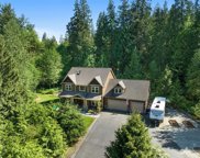 20704 Mero Road, Snohomish image