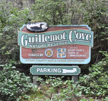 guillemot cove