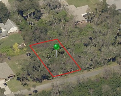 Poinciana Road, Edgewater