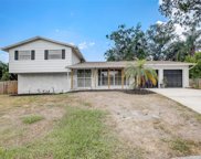 7002 Mintwood Court, Tampa image