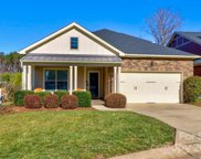 7215 Hanging Rock  Court, Denver image