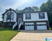 1861 Pebble Lake Drive, Birmingham image
