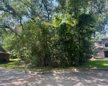 107 Lazy Springs Drive, Montgomery