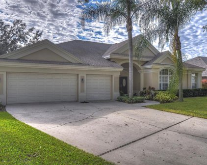 10314 Carroll Cove Place, Tampa