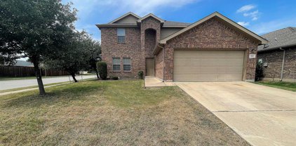 11801 Summer Springs  Drive, Frisco