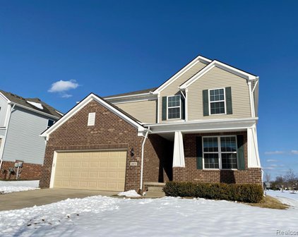 29874 Macintosh, Lyon Twp