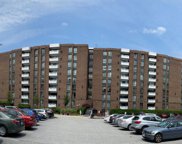7 Slade Ave Unit #415, Pikesville image