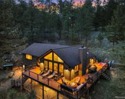 7027 S Brook Forest Road, Evergreen image