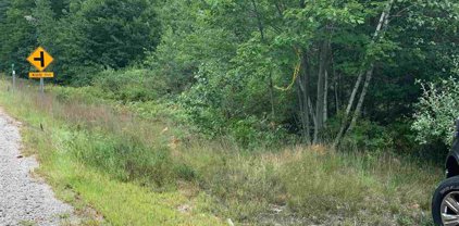 Laconia Road, Belmont