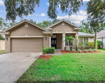 3103 Bent Creek Drive, Valrico