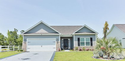 101 Palm Terrace Loop, Conway