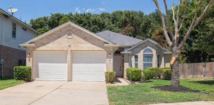 16406 Pademelon, Sugar Land