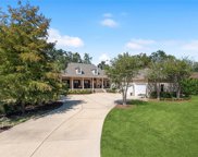 9 Crystal Lake  Lane, Mandeville image