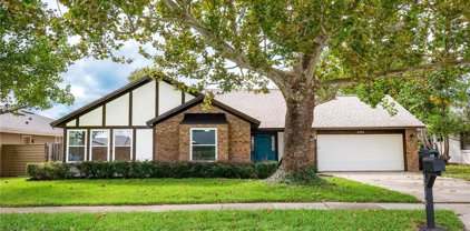 4304 Ilene Court, Orlando