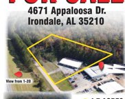 4671 Appaloosa Drive, Irondale image