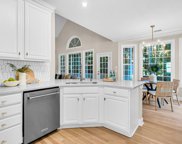 3537 Flowering Oak Way, Mount Pleasant image