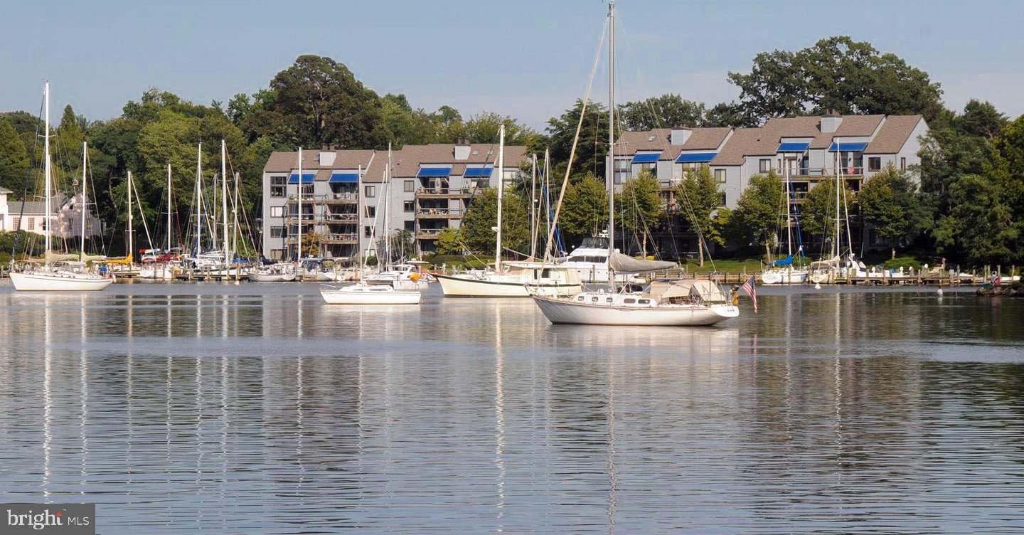 7 Spa Creek Landing Unit B1, Annapolis, 21403