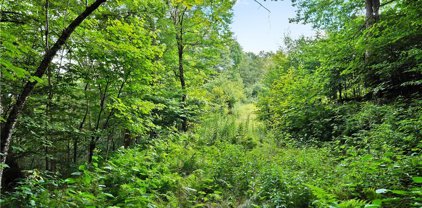 Lot #4 N Chappell Farms Road, Banner Elk