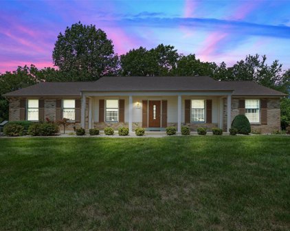 15547 Canyon View  Court, Chesterfield
