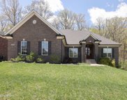 17212 Shakes Creek Dr, Fisherville image
