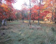 4910 Whitetail Road NE, Bemidji image