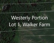 Westerly Portion Lot 1, Daye Girls Rd, Bishopville image