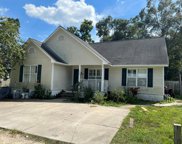 226 Jacobie O'Neil Ln, Apalachicola image