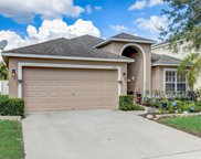 10632 Shady Preserve Drive, Riverview image