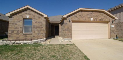 5432 Stone Meadow  Lane, Fort Worth