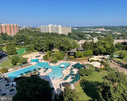 205 Yoakum Pkwy Unit #1023, Alexandria