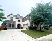 100 Cactus Pear, Boerne image