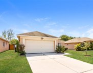 11101 Whittney Chase Drive, Riverview image