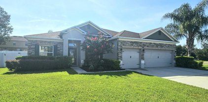 1785 Dunn Cove Drive, Apopka