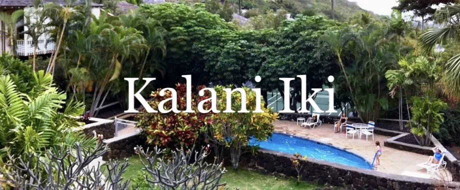 Kalani Iki Market Report