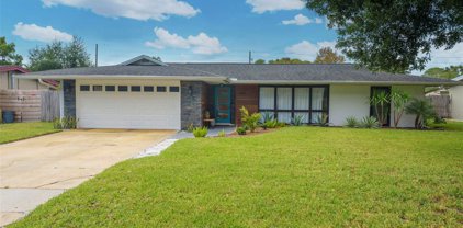 1509 Oxford Road, Maitland